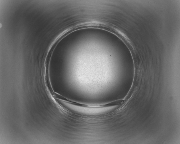 X0000082981418200702152346