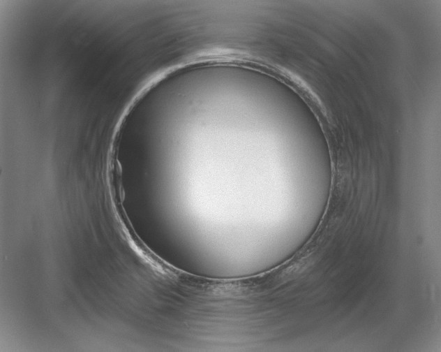 X0000082981421200702152346