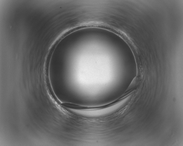 X0000082981422200702152346