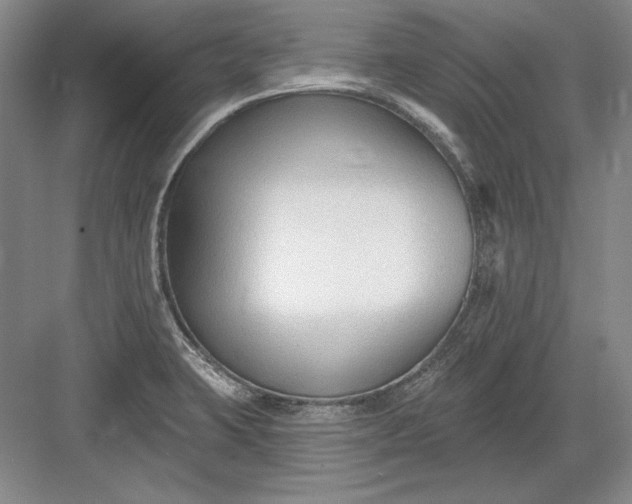 X0000082981423200702152346