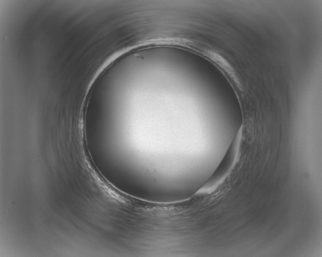 X0000082981428200702152346