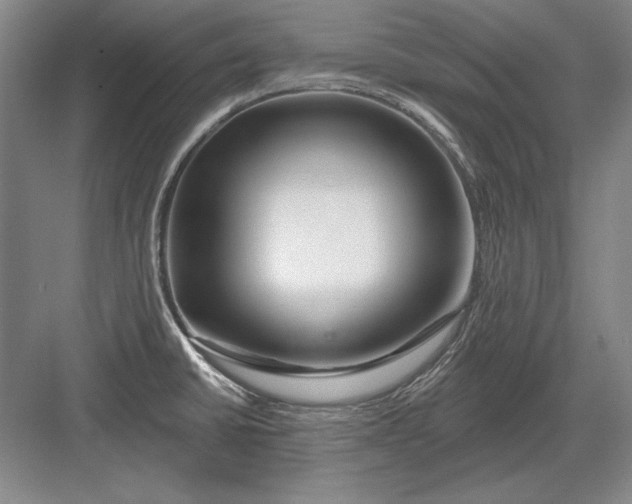 X0000082981430200702152346