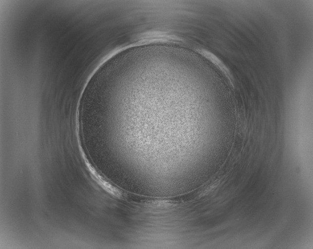 X0000082981431200702152346