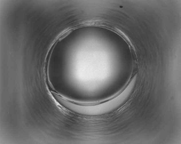 X0000082981434200702152346