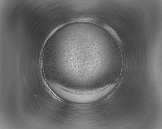 X0000082981436200702152346