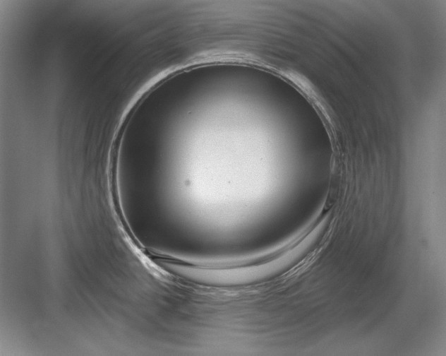 X0000082981438200702152346