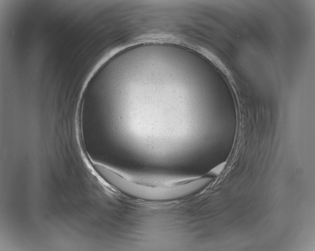 X0000082981440200702152346