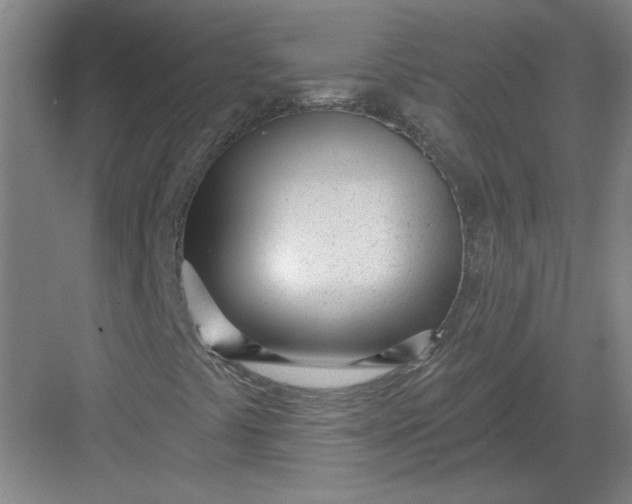 X0000082981441200702152345