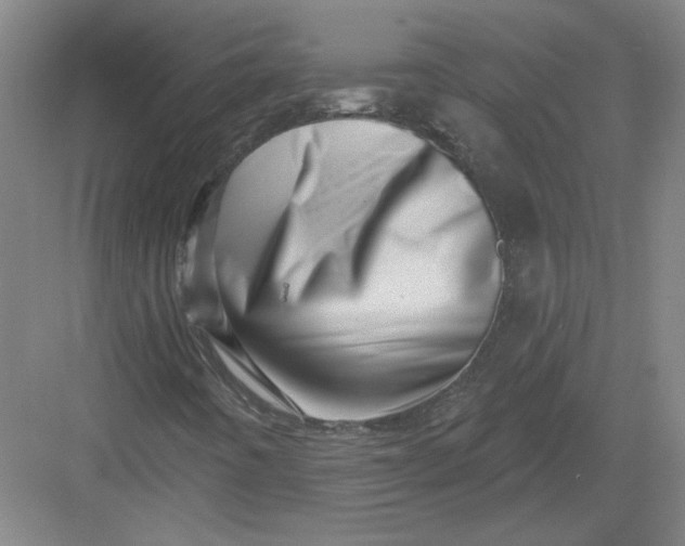 X0000082981442200702152345