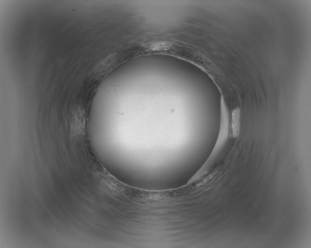 X0000082981443200702152345
