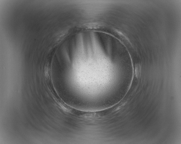 X0000082981444200702152345