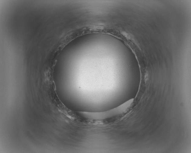 X0000082981445200702152345