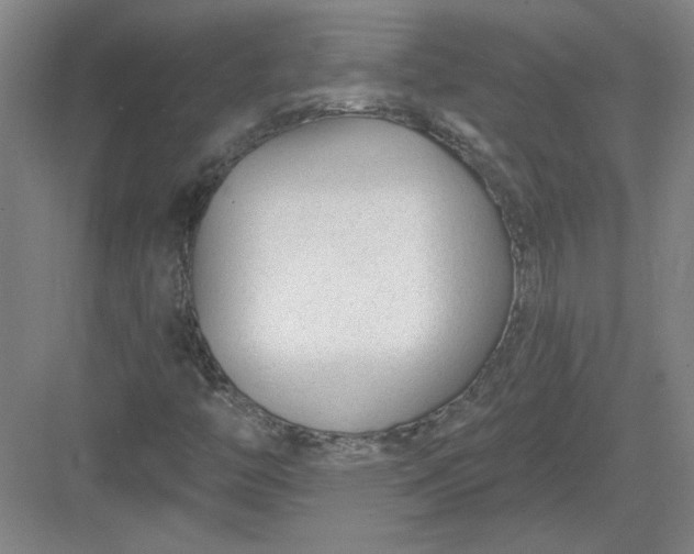 X0000082981446200702152345