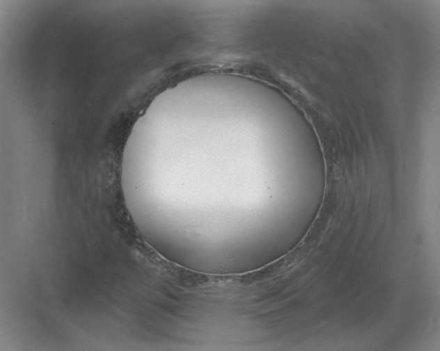 X0000082981447200702152345