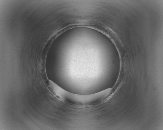 X0000082981449200702152345