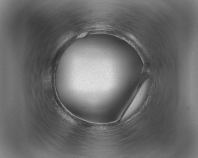 X0000082981450200702152345