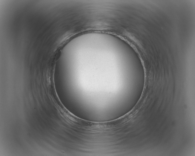 X0000082981451200702152345