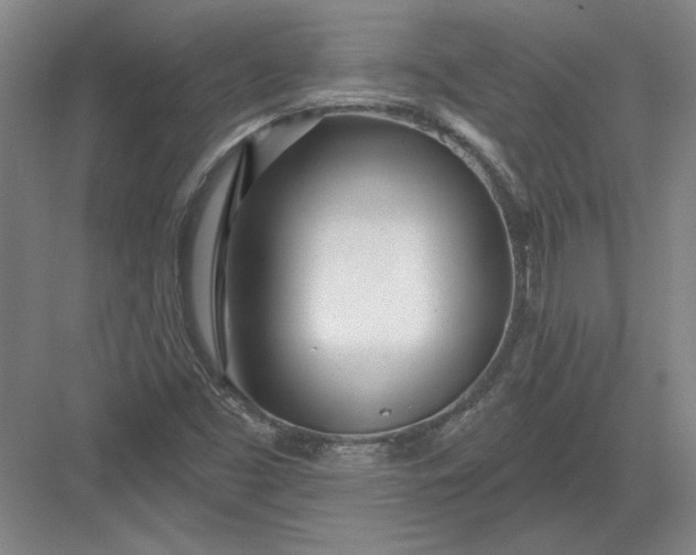 X0000082981453200702152345