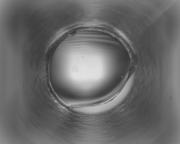 X0000082981456200702152345