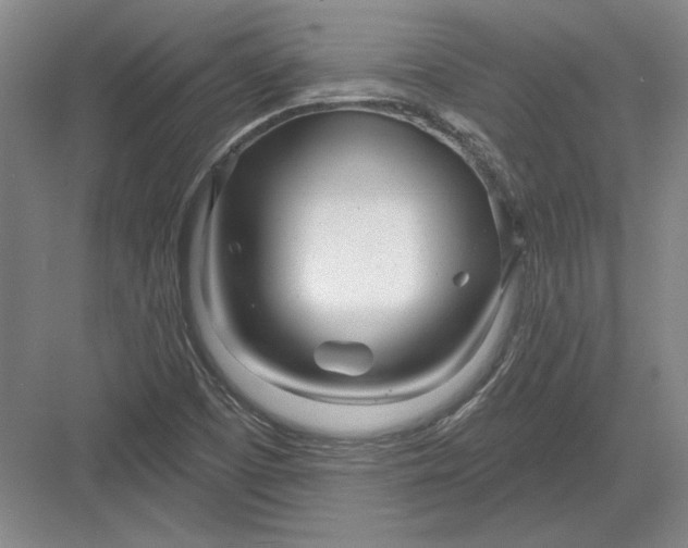 X0000082981457200702152345