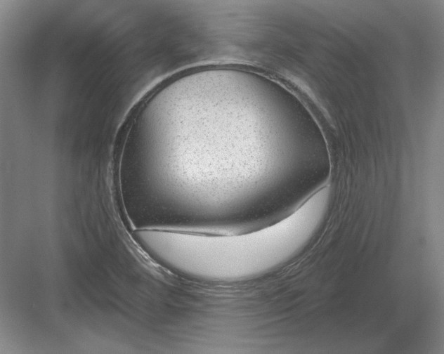 X0000082981460200702152345