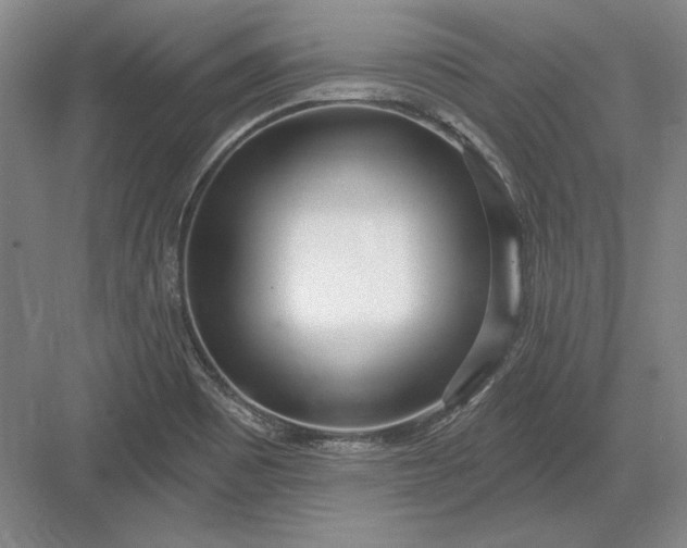 X0000082981465200702152345