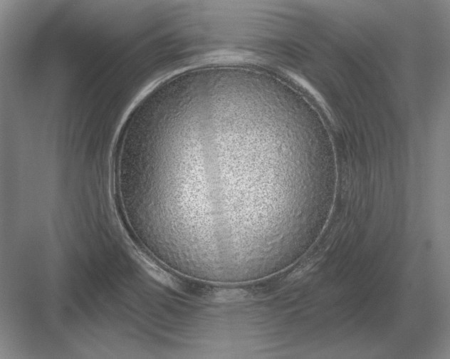 X0000082981467200702152345