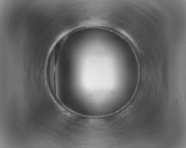 X0000082981469200702152345