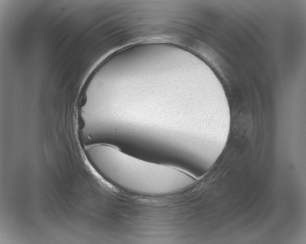 X0000082981476200702152345