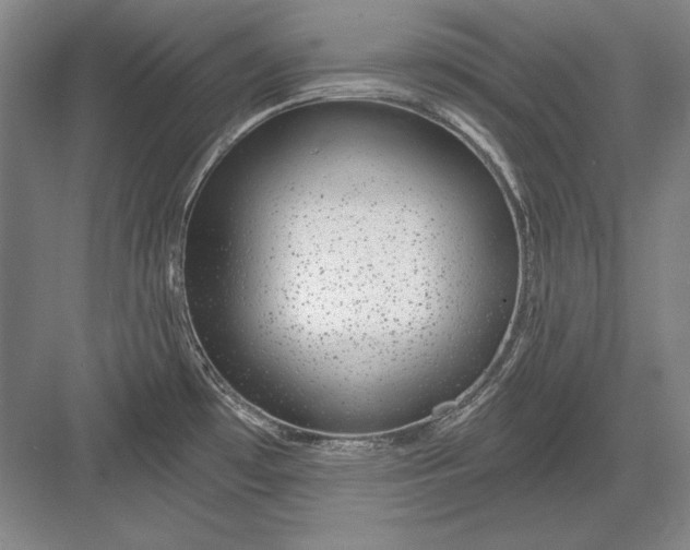 X0000082981481200702152345