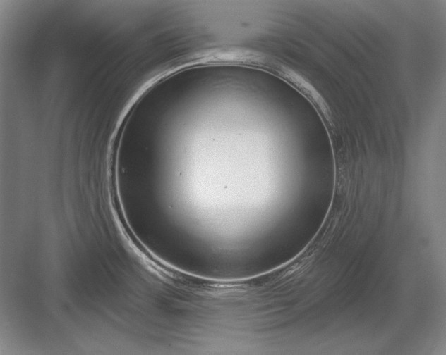 X0000082981483200702152345