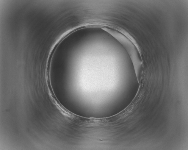 X0000082981485200702152344