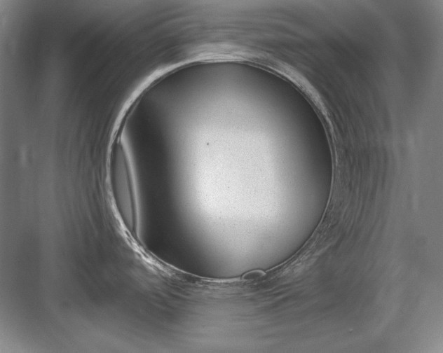 X0000082981488200702152344