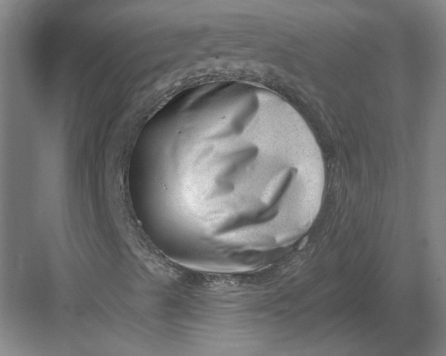 X0000082981489200702152344