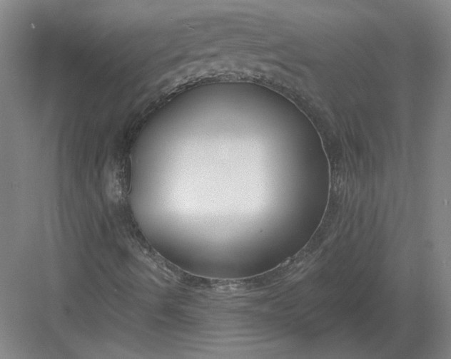 X0000082981490200702152344