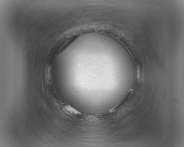 X0000082981492200702152344
