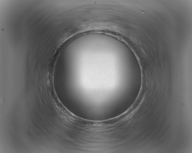 X0000082981497200702152344