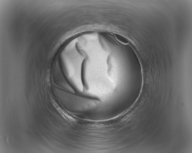 X0000082981499200702152344