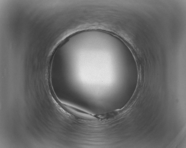 X0000082981500200702152344