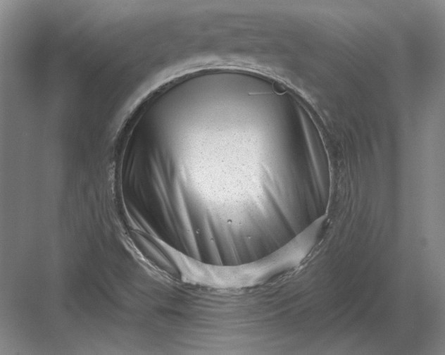 X0000082981503200702152344
