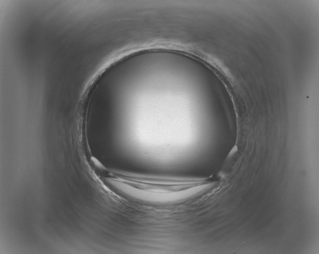 X0000082981504200702152344