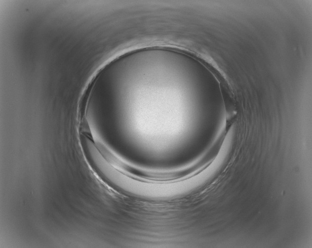 X0000082981508200702152344