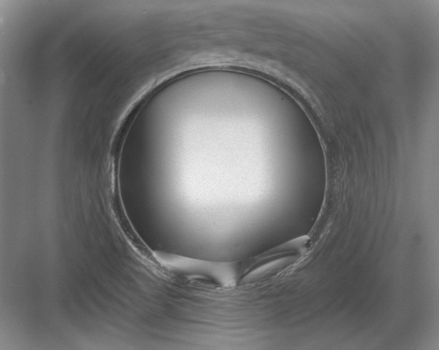 X0000082981509200702152344
