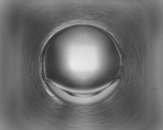 X0000082981511200702152344