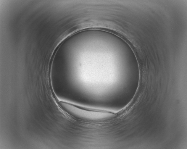 X0000082981513200702152344