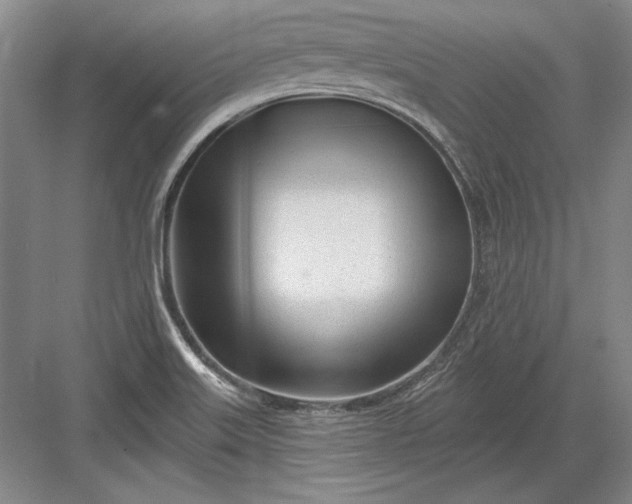 X0000082981515200702152344