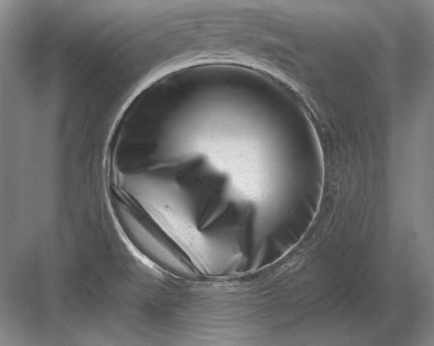 X0000082981519200702152344