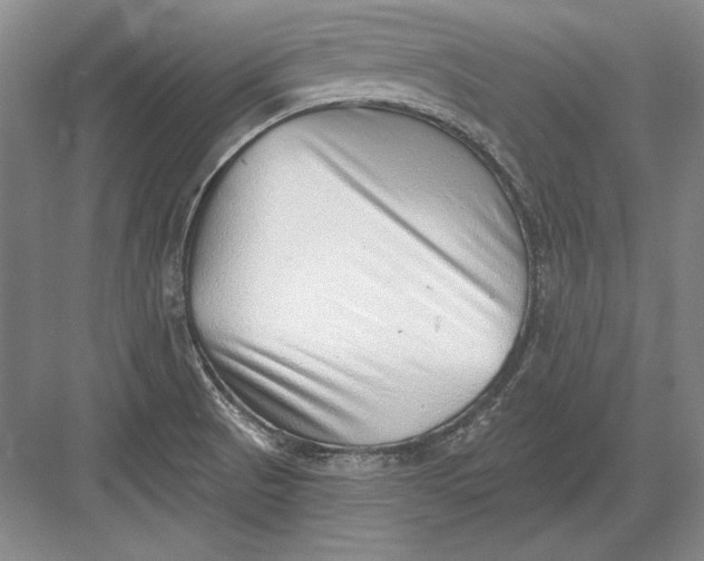 X0000082981521200702152344