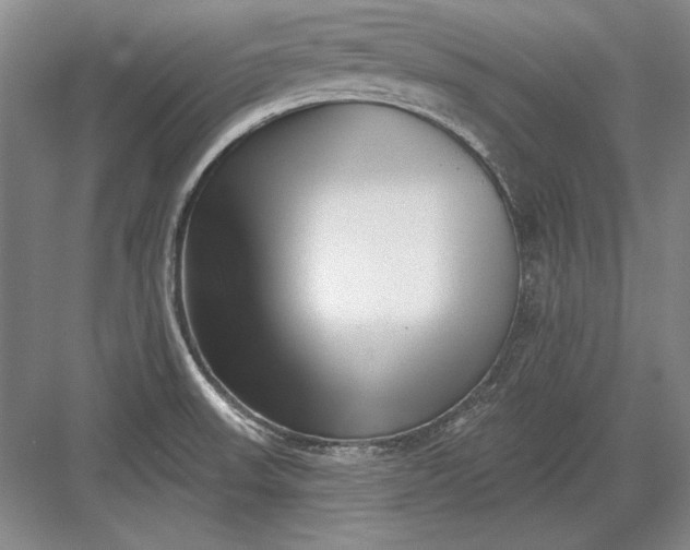 X0000082981523200702152344