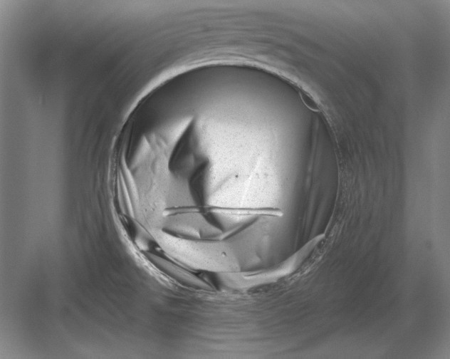X0000082981526200702152344
